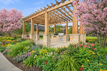 Bbq and grilling area
